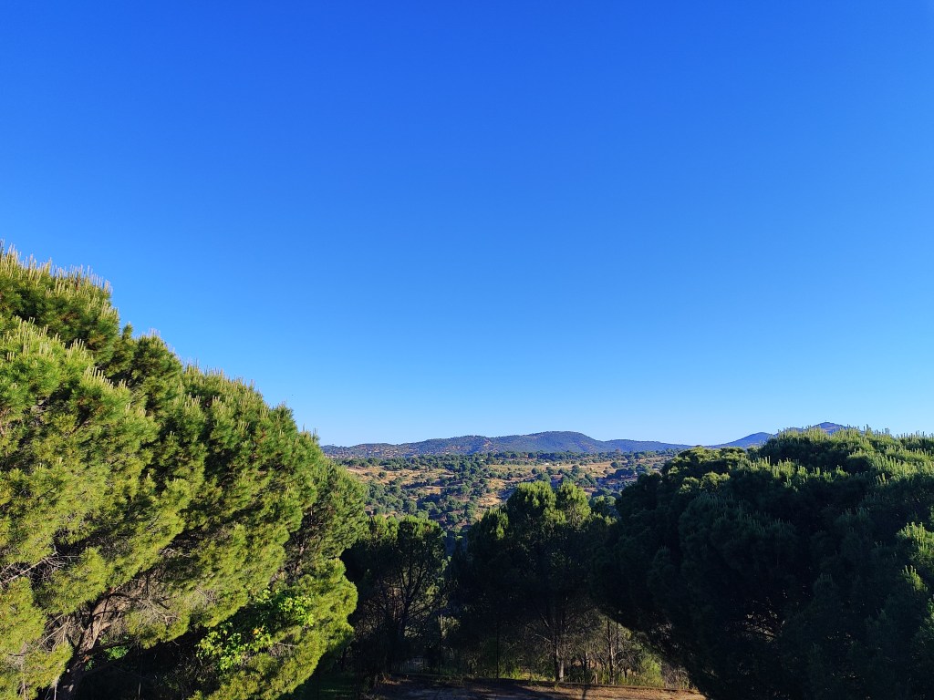 Dispondras de un lugar integrado en un medio natural de gran belleza en parcela privada a 40 minutos de Madrid